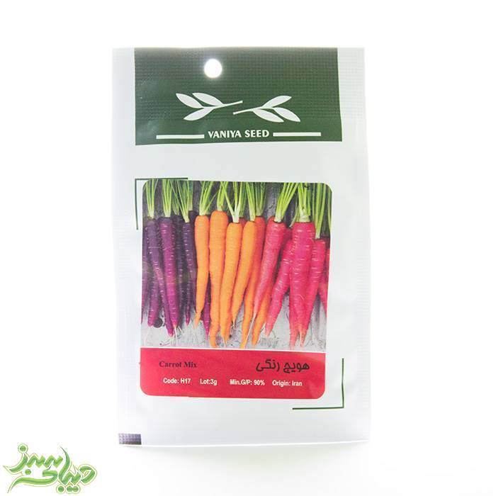 تصویر  بذر هویج رنگی